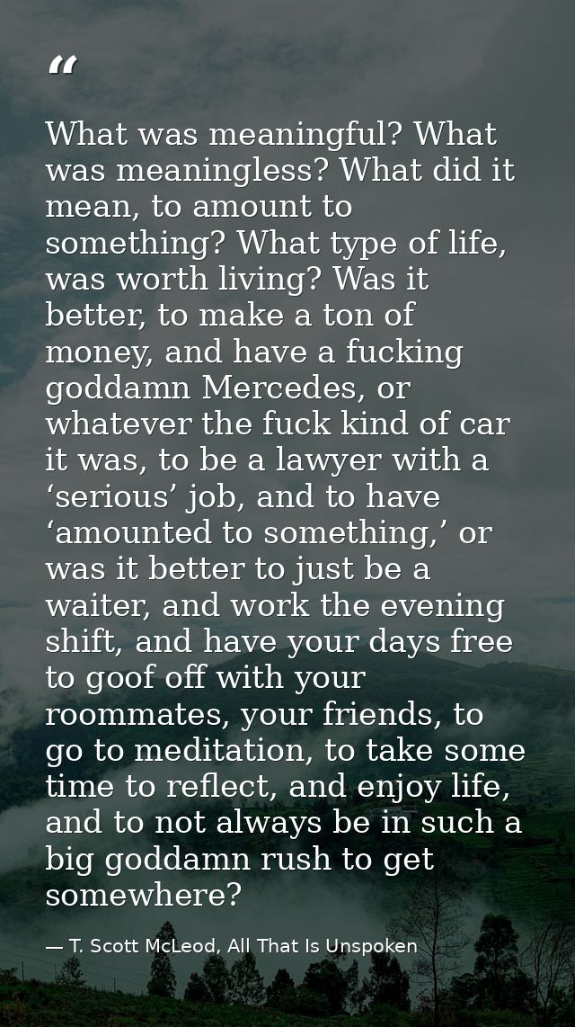 What was meaningful? What was meaningless? What did it mean, to amount to something? What type of life, was worth living — T. Scott McLeod, All That Is Unspoken