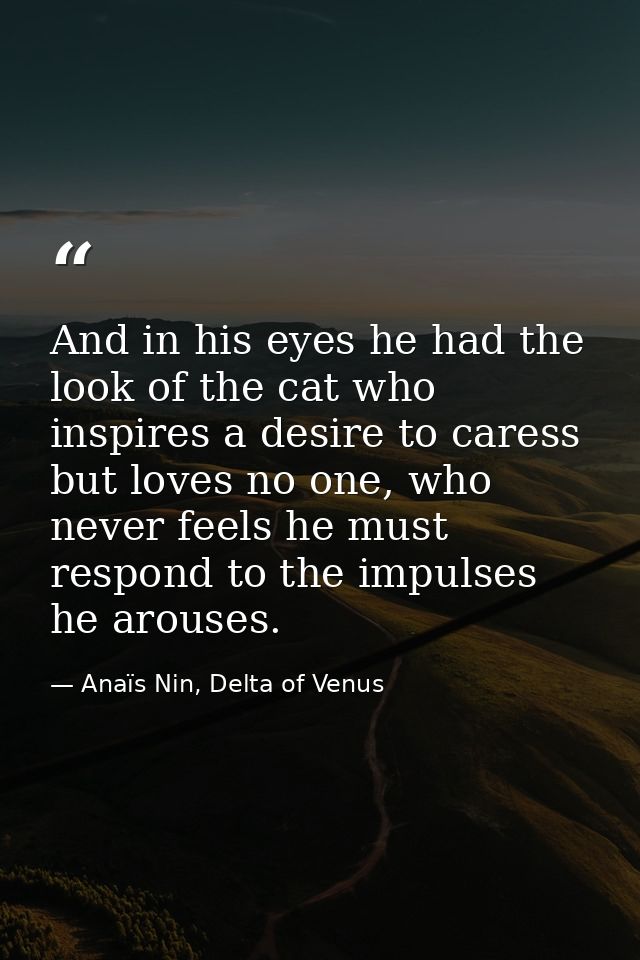 And in his eyes he had the look of the cat who inspires a desire to caress but loves no one, who never feels he must res — Anaïs Nin, Delta of Venus
