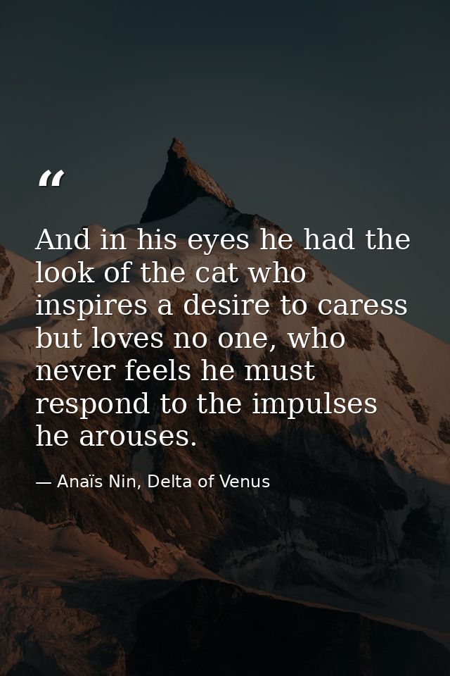 And in his eyes he had the look of the cat who inspires a desire to caress but loves no one, who never feels he must res — Anaïs Nin, Delta of Venus