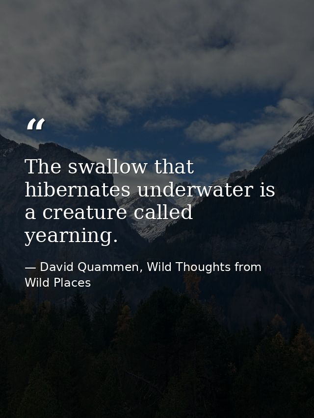 The swallow that hibernates underwater is a creature called yearning. — David Quammen, Wild Thoughts from Wild Places