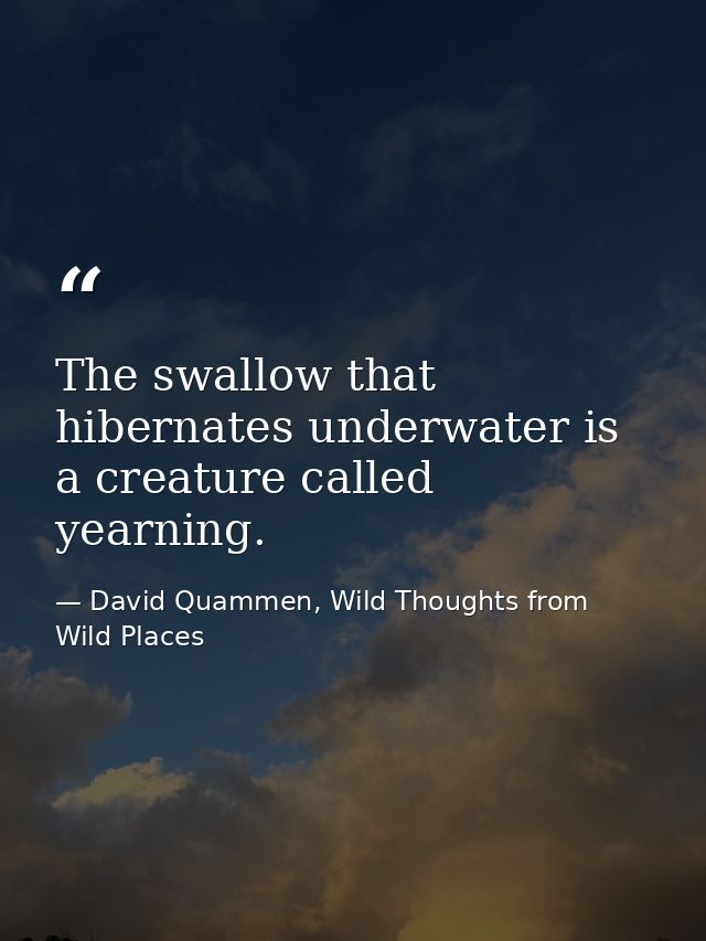 The swallow that hibernates underwater is a creature called yearning. — David Quammen, Wild Thoughts from Wild Places