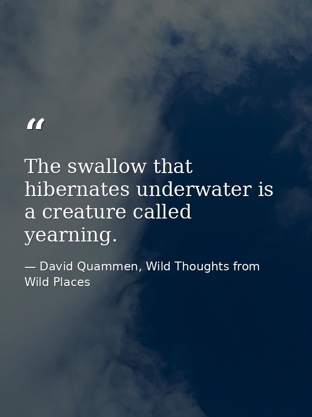 The swallow that hibernates underwater is a creature called yearning. — David Quammen, Wild Thoughts from Wild Places