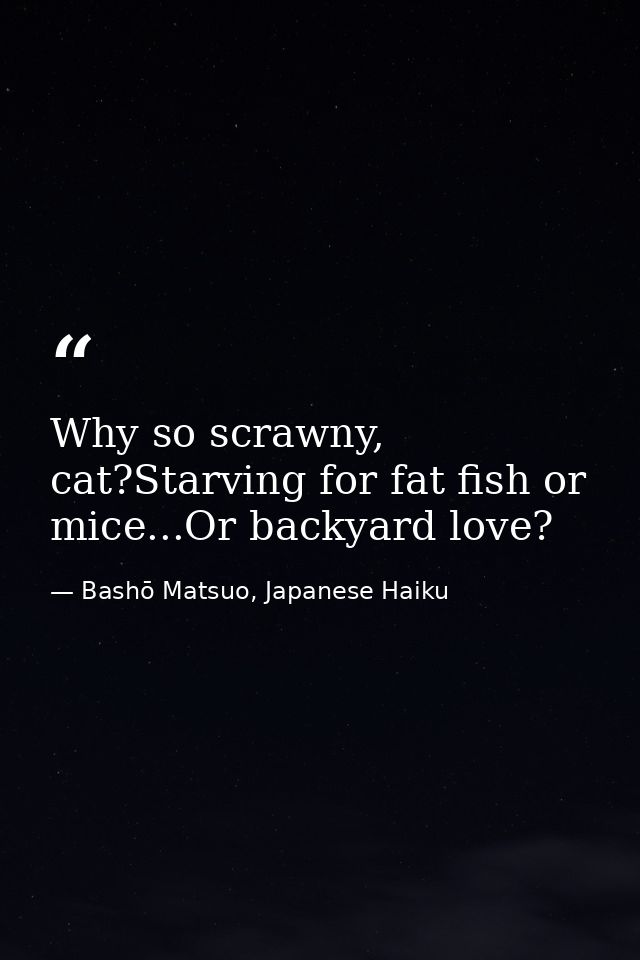 Why so scrawny, cat?Starving for fat fish or mice...Or backyard love? — Bashō Matsuo, Japanese Haiku
