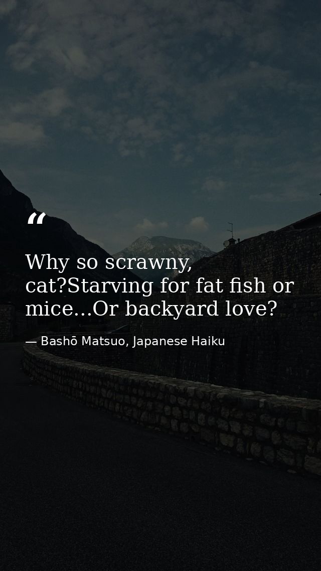 Why so scrawny, cat?Starving for fat fish or mice...Or backyard love? — Bashō Matsuo, Japanese Haiku