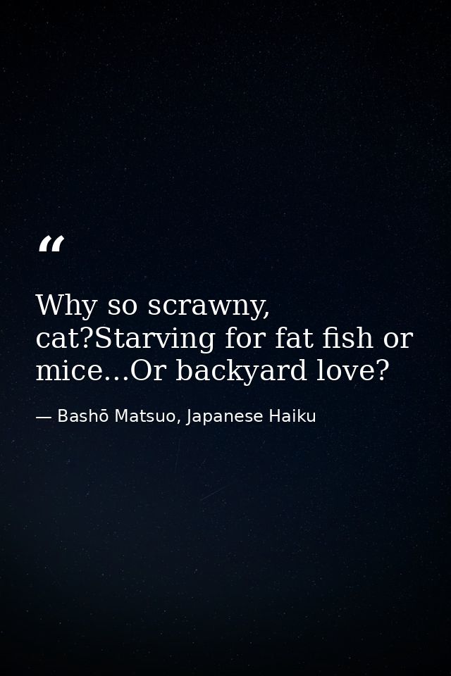 Why so scrawny, cat?Starving for fat fish or mice...Or backyard love? — Bashō Matsuo, Japanese Haiku