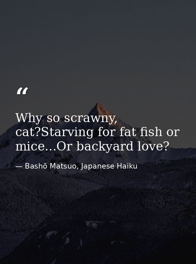 Why so scrawny, cat?Starving for fat fish or mice...Or backyard love? — Bashō Matsuo, Japanese Haiku