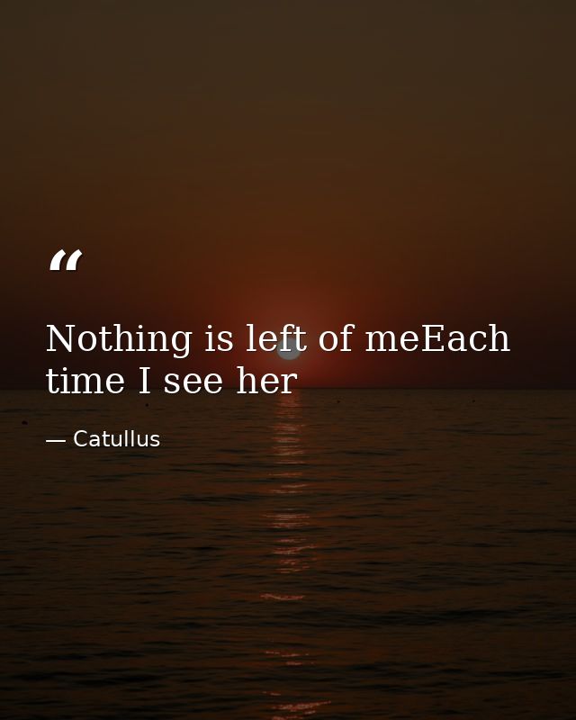 Nothing is left of meEach time I see her — Catullus