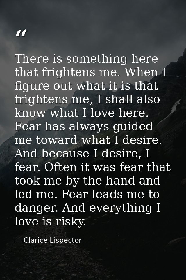 There is something here that frightens me. When I figure out what it is that frightens me, I shall also know what I love — Clarice Lispector