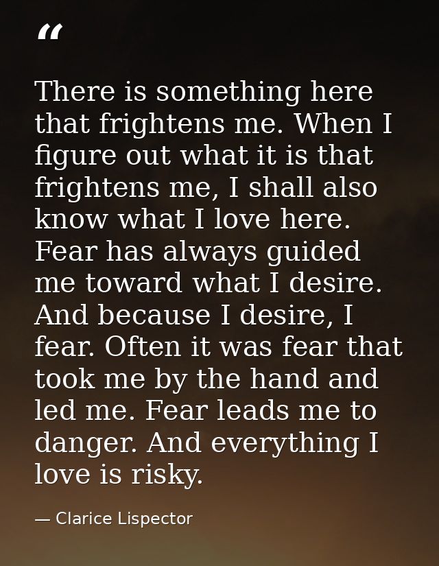 There is something here that frightens me. When I figure out what it is that frightens me, I shall also know what I love — Clarice Lispector