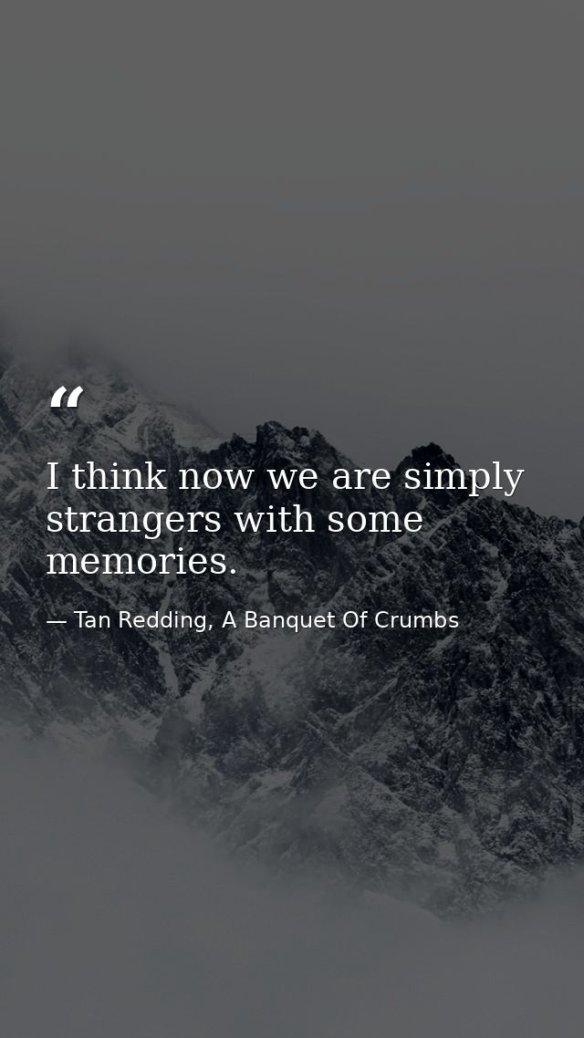 I think now we are simply strangers with some memories. — Tan Redding, A Banquet Of Crumbs