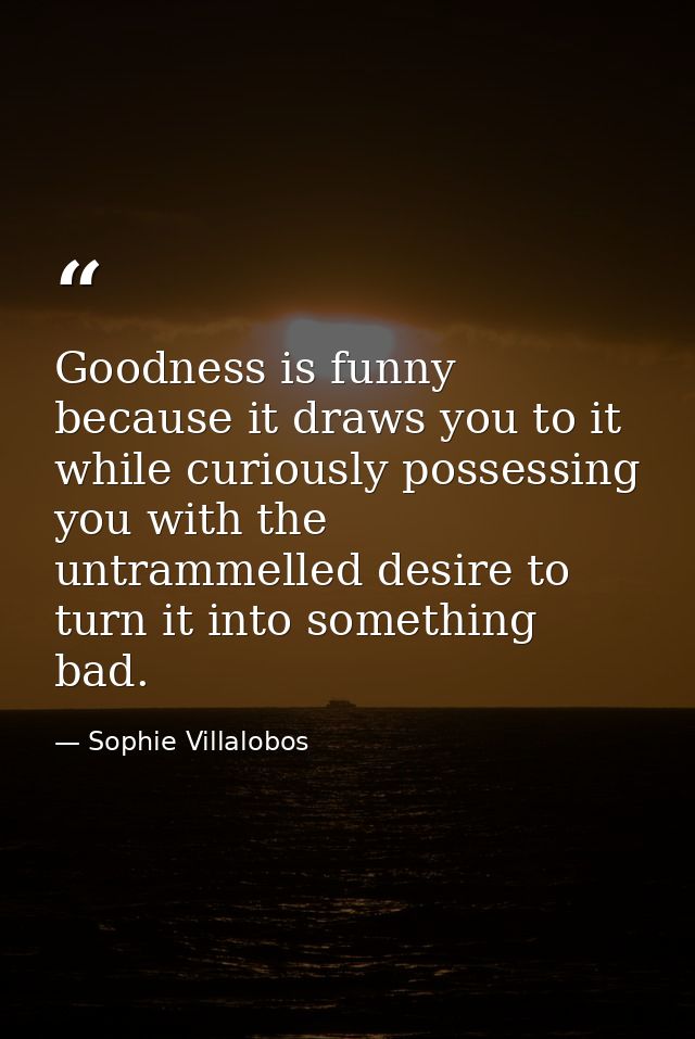 Goodness is funny because it draws you to it while curiously possessing you with the untrammelled desire to turn it into — Sophie Villalobos