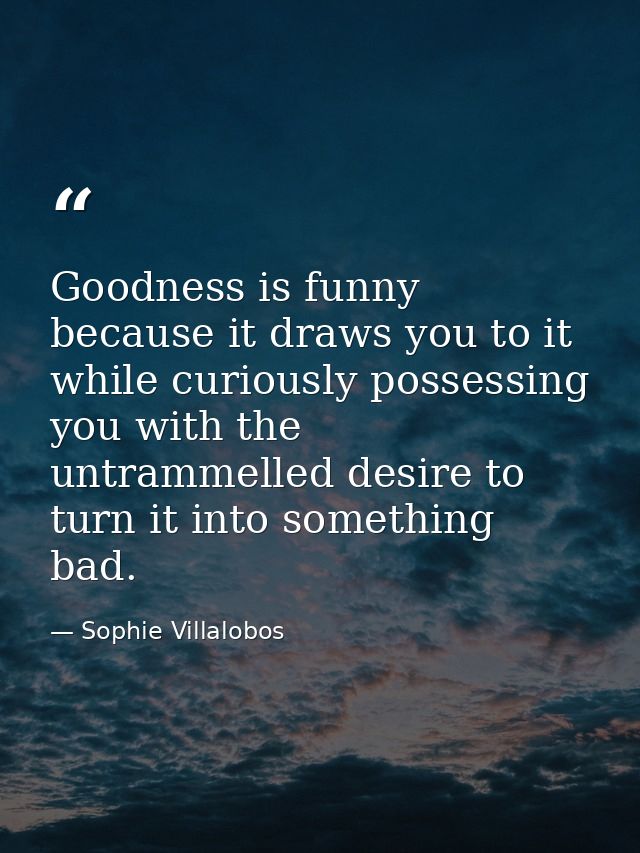 Goodness is funny because it draws you to it while curiously possessing you with the untrammelled desire to turn it into — Sophie Villalobos