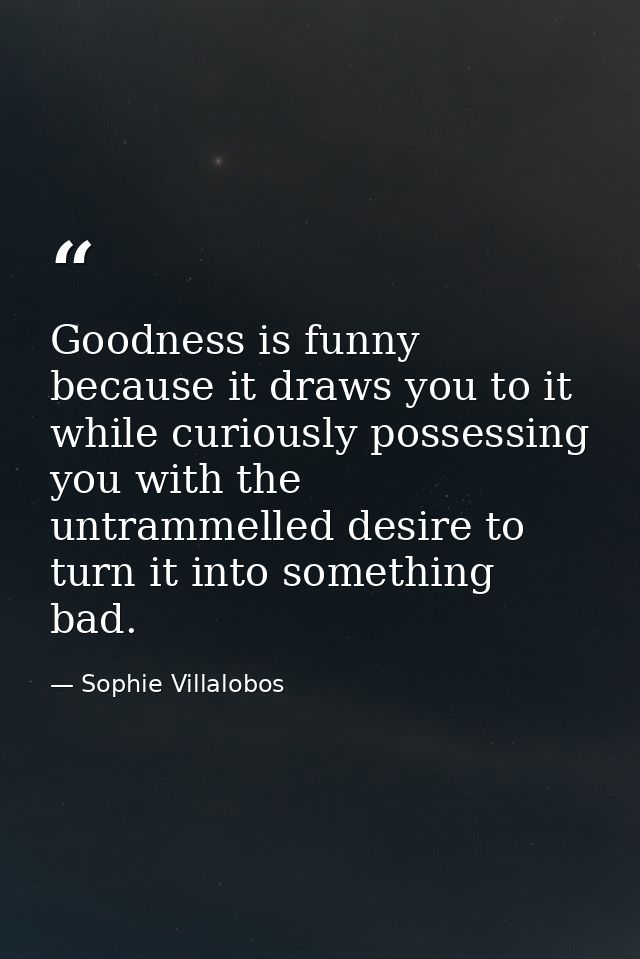 Goodness is funny because it draws you to it while curiously possessing you with the untrammelled desire to turn it into — Sophie Villalobos