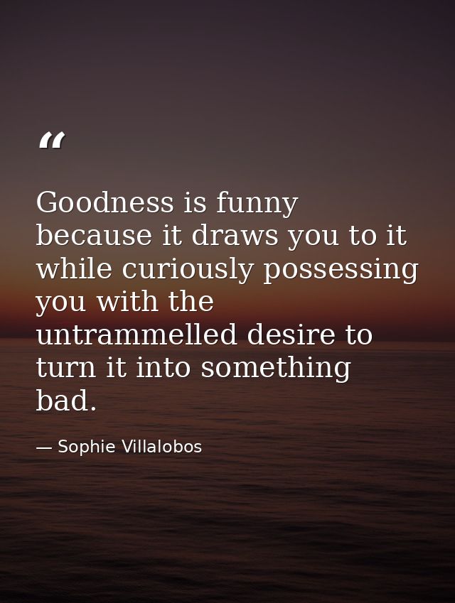 Goodness is funny because it draws you to it while curiously possessing you with the untrammelled desire to turn it into — Sophie Villalobos