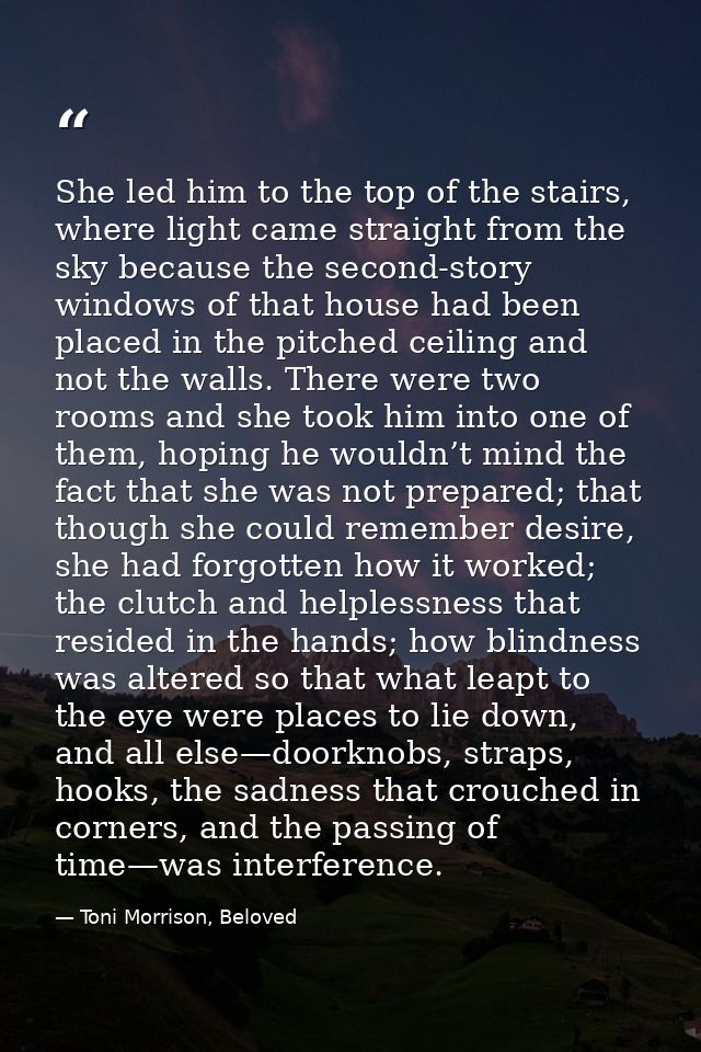 She led him to the top of the stairs, where light came straight from the sky because the second-story windows of that ho — Toni Morrison, Beloved