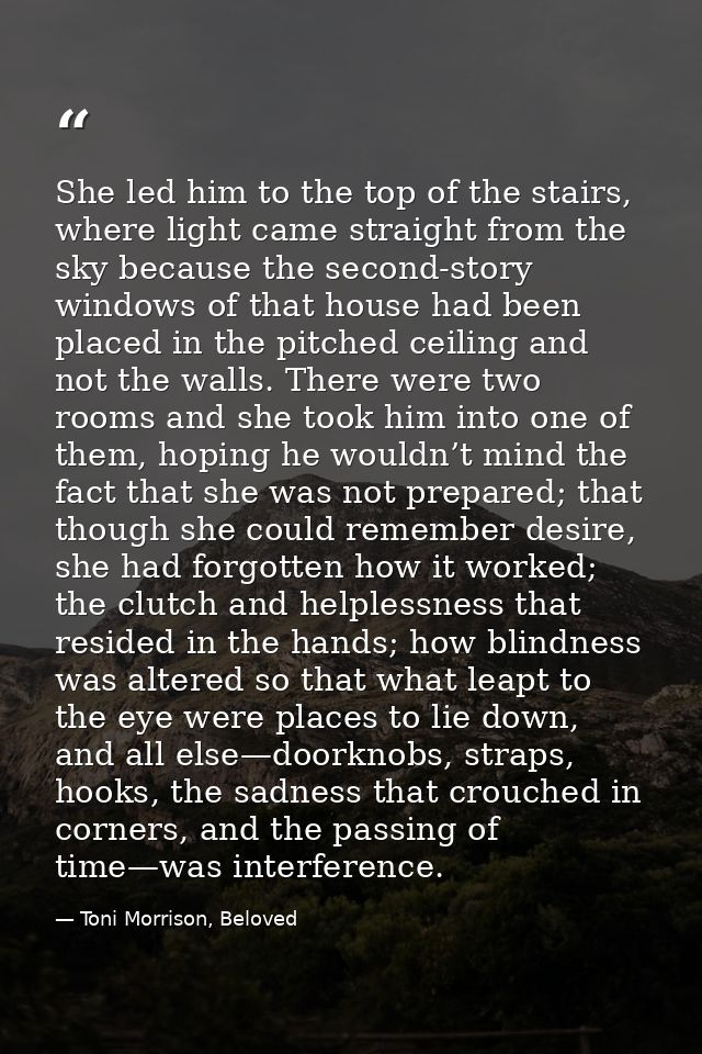 She led him to the top of the stairs, where light came straight from the sky because the second-story windows of that ho — Toni Morrison, Beloved