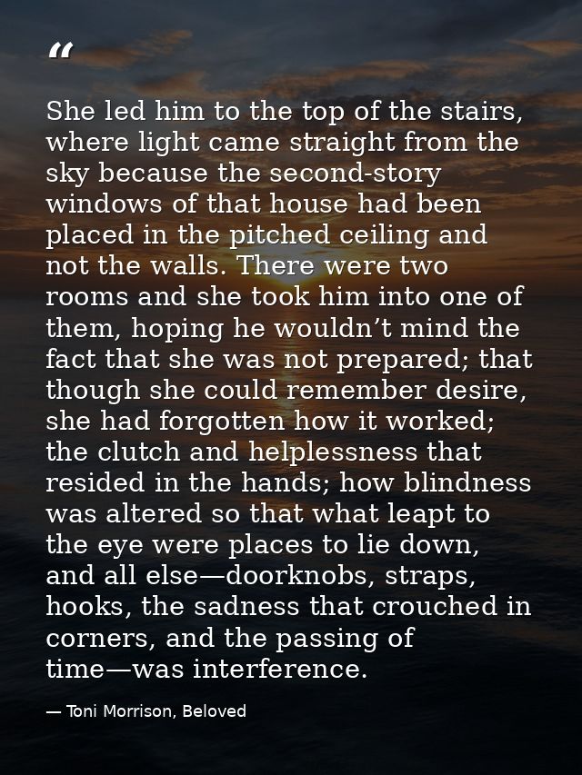She led him to the top of the stairs, where light came straight from the sky because the second-story windows of that ho — Toni Morrison, Beloved