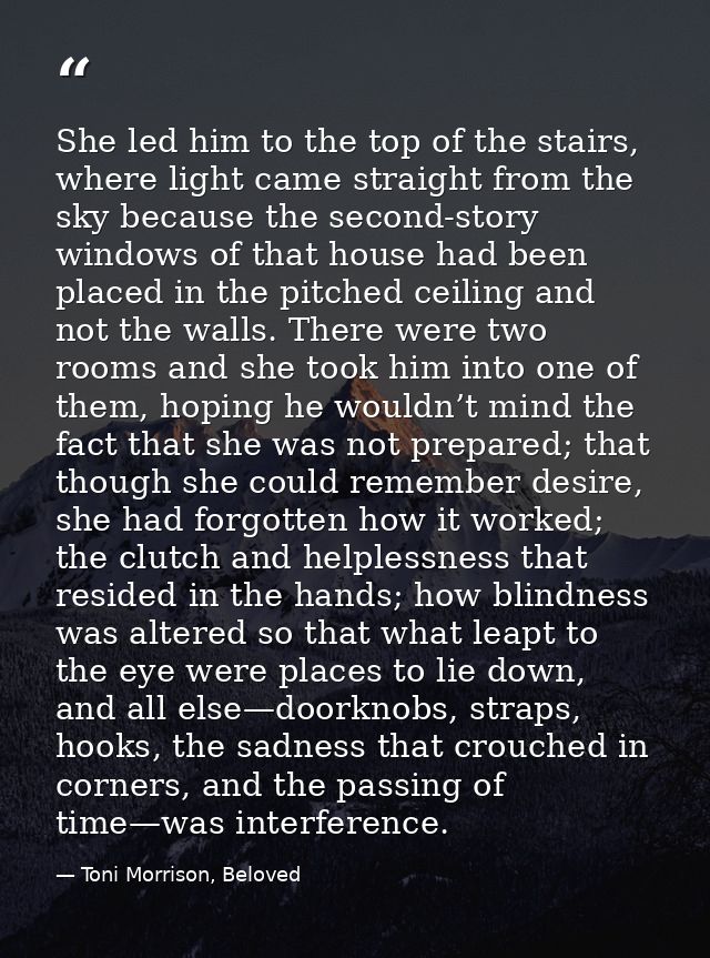 She led him to the top of the stairs, where light came straight from the sky because the second-story windows of that ho — Toni Morrison, Beloved