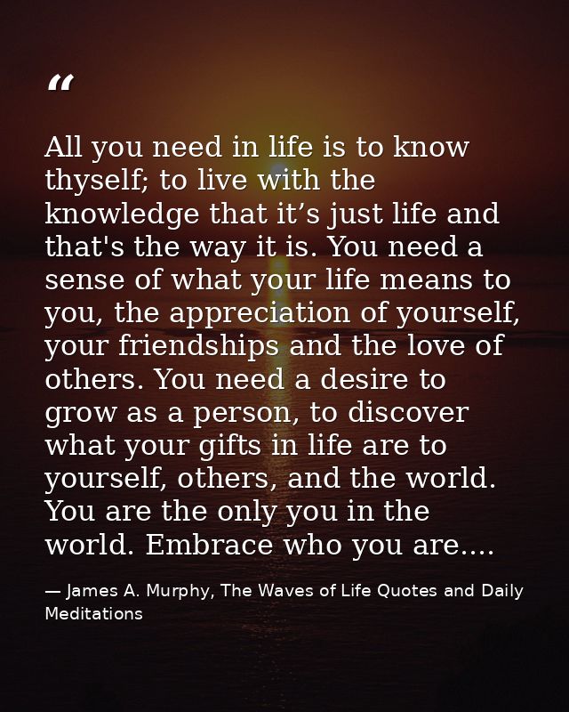 All you need in life is to know thyself; to live with the knowledge that it’s just life and that's the way it is. You ne — James A. Murphy, The Waves of Life Quotes and Daily Meditations