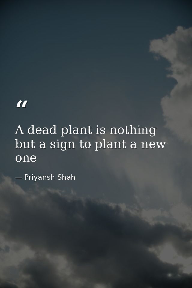 A dead plant is nothing but a sign to plant a new one — Priyansh Shah