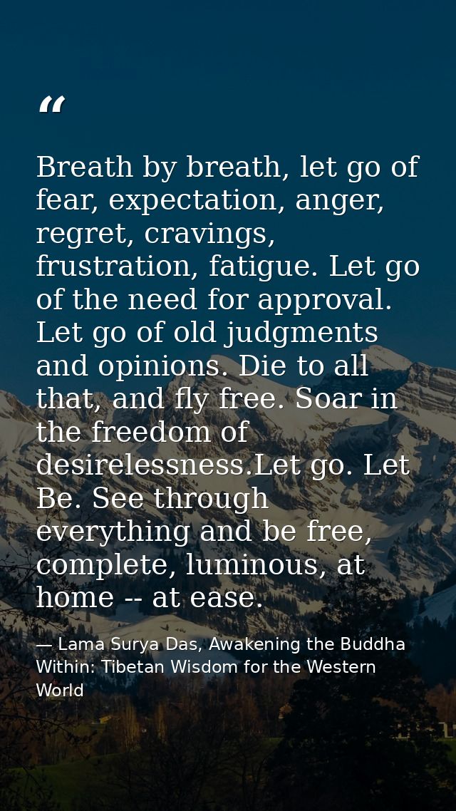 Breath by breath, let go of fear, expectation, anger, regret, cravings, frustration, fatigue. Let go of the need for app — Lama Surya Das, Awakening the Buddha Within: Tibetan Wisdom for the Western World