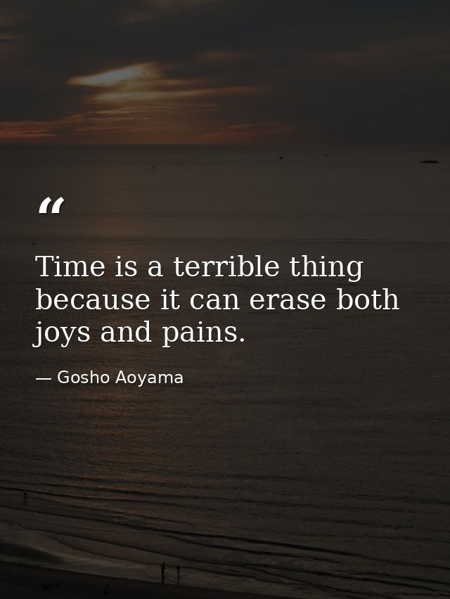 Time is a terrible thing because it can erase both joys and pains. — Gosho Aoyama