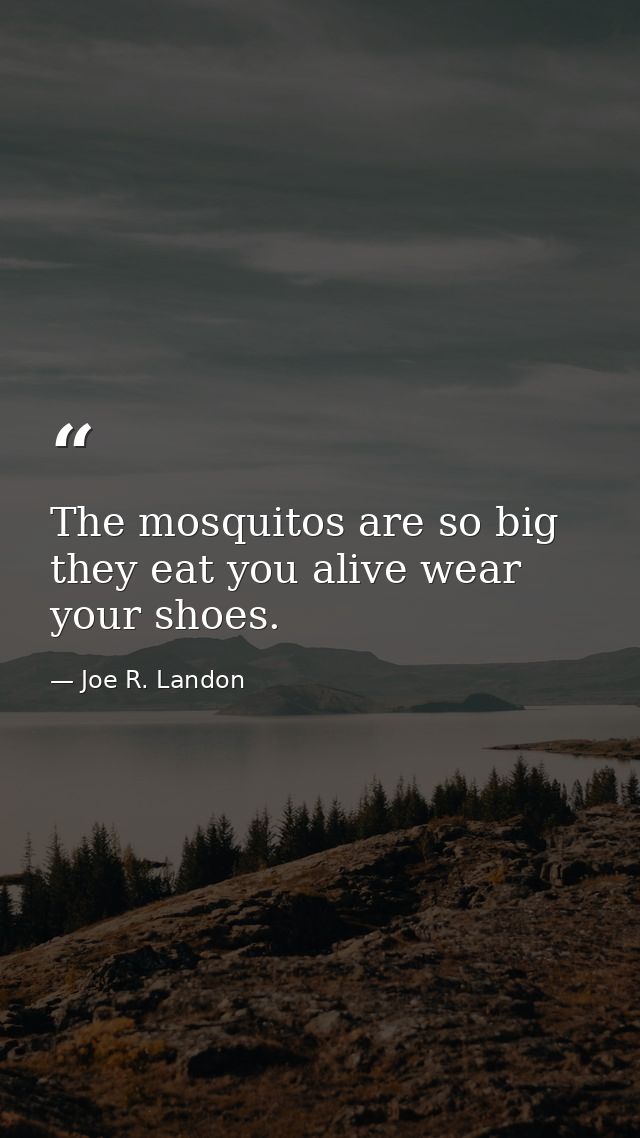 The mosquitos are so big they eat you alive wear your shoes. — Joe R. Landon