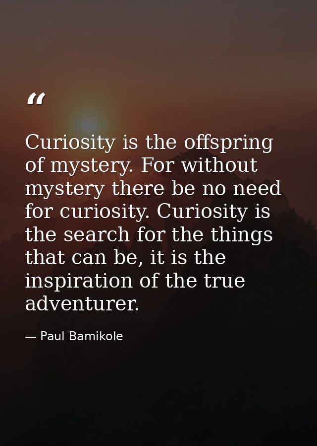 Curiosity is the offspring of mystery. For without mystery there be no need for curiosity. Curiosity is the search for t — Paul Bamikole