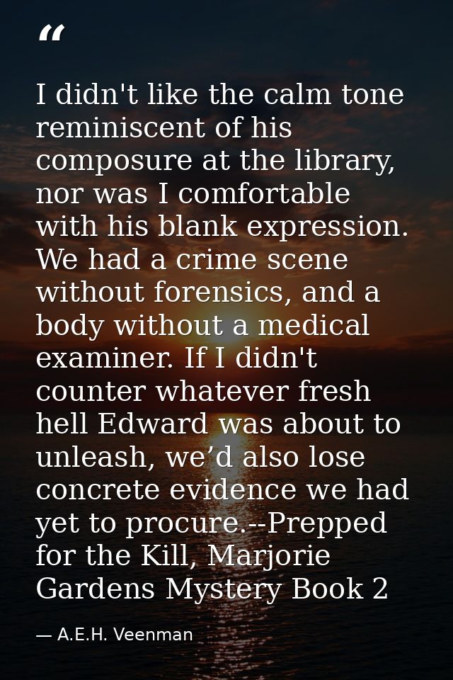 I didn't like the calm tone reminiscent of his composure at the library, nor was I comfortable with his blank expression — A.E.H. Veenman