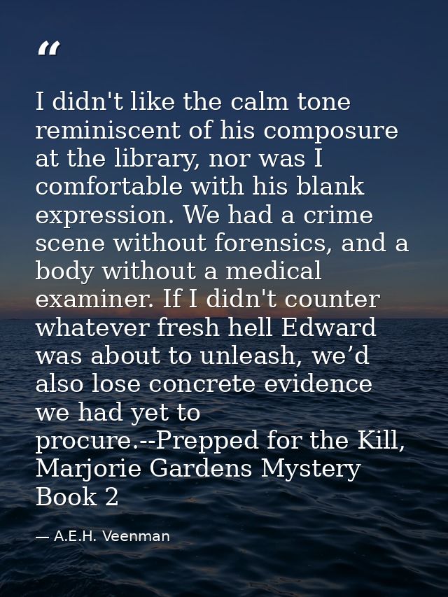 I didn't like the calm tone reminiscent of his composure at the library, nor was I comfortable with his blank expression — A.E.H. Veenman