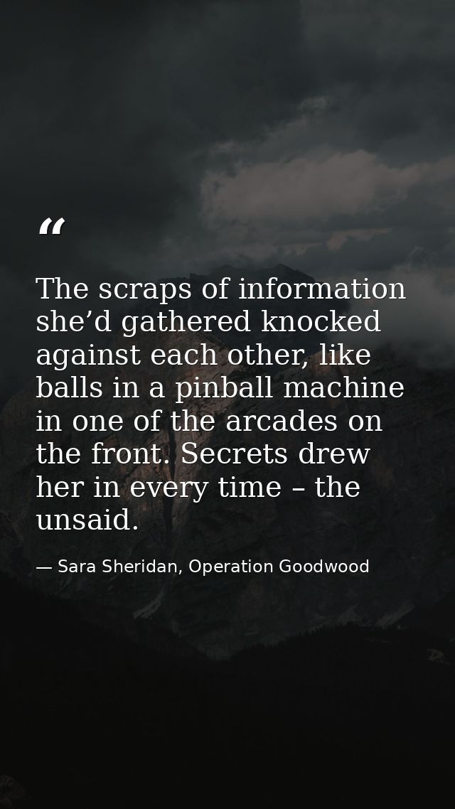 The scraps of information she’d gathered knocked against each other, like balls in a pinball machine in one of the arcad — Sara Sheridan, Operation Goodwood