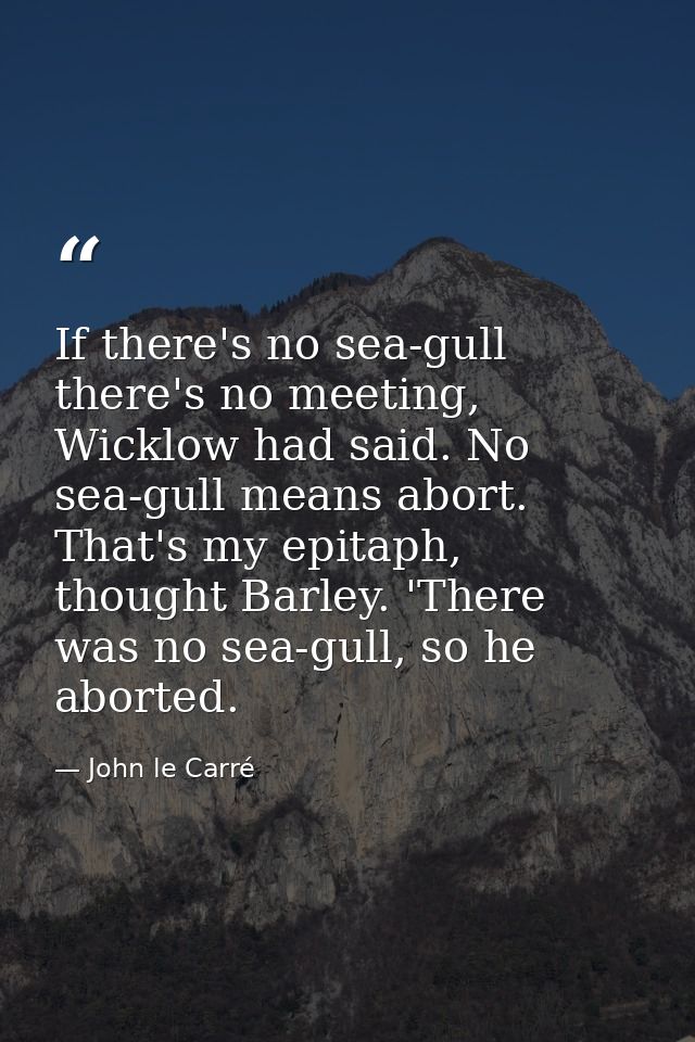If there's no sea-gull there's no meeting, Wicklow had said. No sea-gull means abort. That's my epitaph, thought Barley. — John le Carré