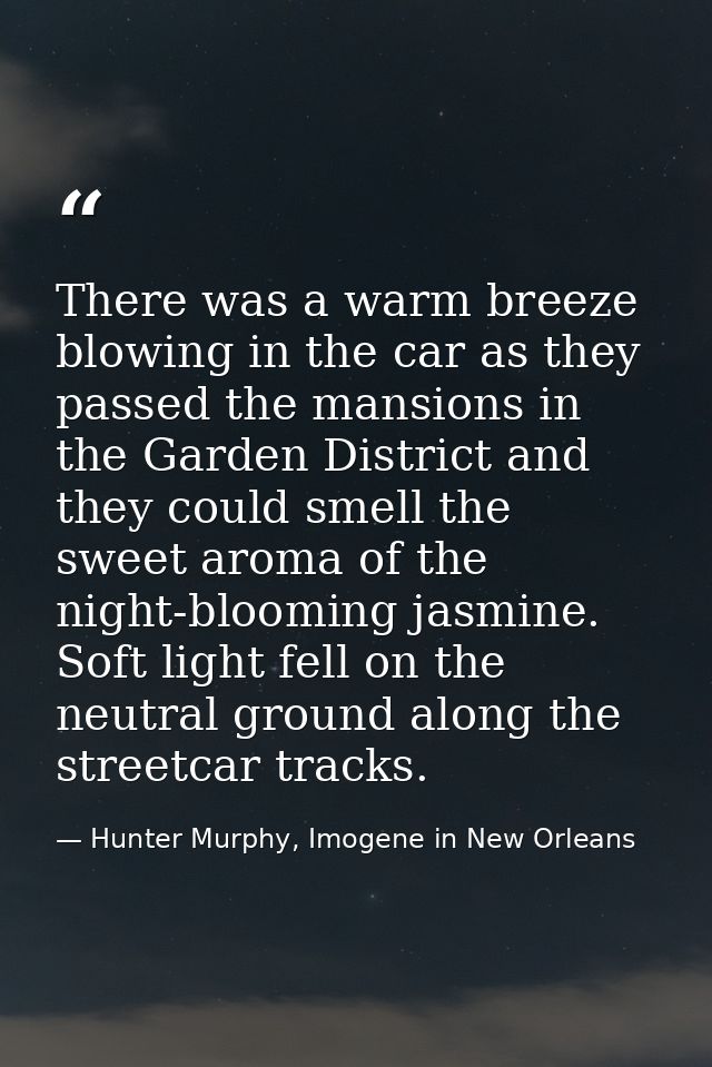 There was a warm breeze blowing in the car as they passed the mansions in the Garden District and they could smell the s — Hunter Murphy, Imogene in New Orleans