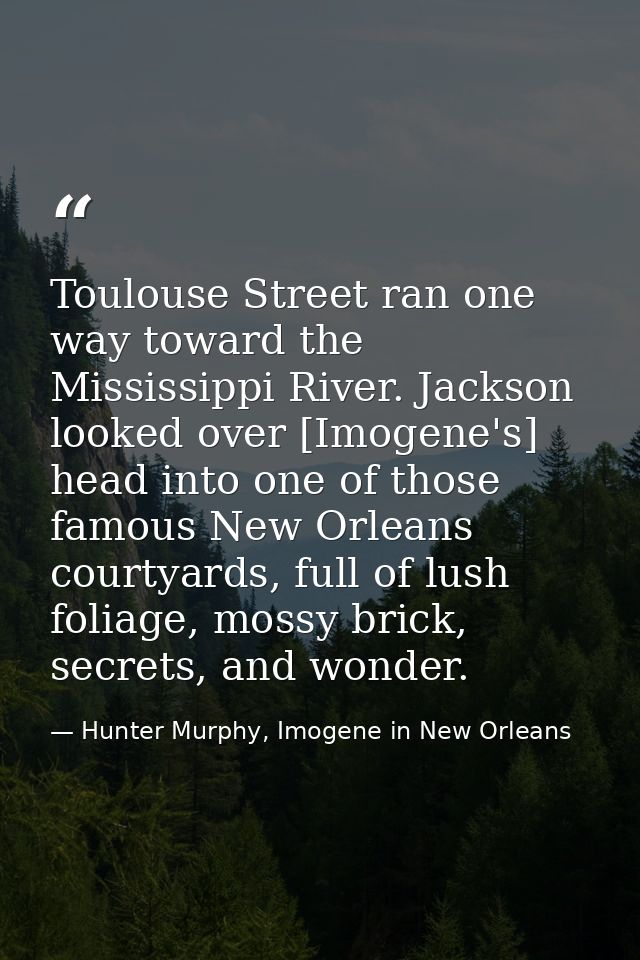 Toulouse Street ran one way toward the Mississippi River. Jackson looked over [Imogene's] head into one of those famous  — Hunter Murphy, Imogene in New Orleans