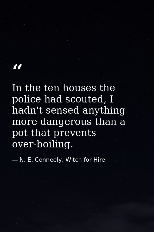 In the ten houses the police had scouted, I hadn't sensed anything more dangerous than a pot that prevents over-boiling. — N. E. Conneely, Witch for Hire