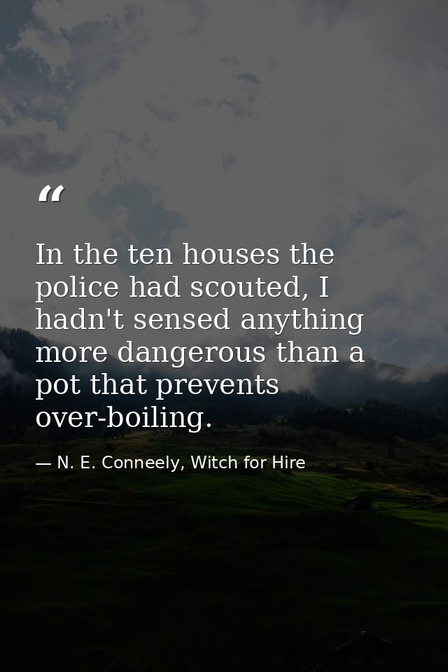 In the ten houses the police had scouted, I hadn't sensed anything more dangerous than a pot that prevents over-boiling. — N. E. Conneely, Witch for Hire