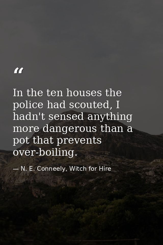 In the ten houses the police had scouted, I hadn't sensed anything more dangerous than a pot that prevents over-boiling. — N. E. Conneely, Witch for Hire