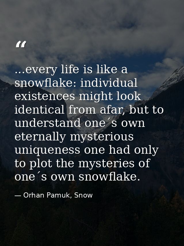 ...every life is like a snowflake: individual existences might look identical from afar, but to understand one´s own ete — Orhan Pamuk, Snow