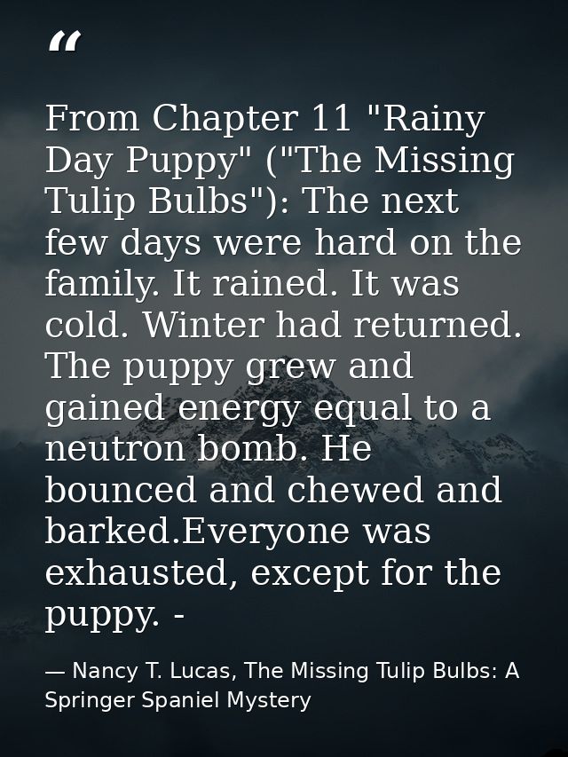From Chapter 11 "Rainy Day Puppy" ("The Missing Tulip Bulbs"): The next few days were hard on the family. It rained. It  — Nancy T. Lucas, The Missing Tulip Bulbs: A Springer Spaniel Mystery