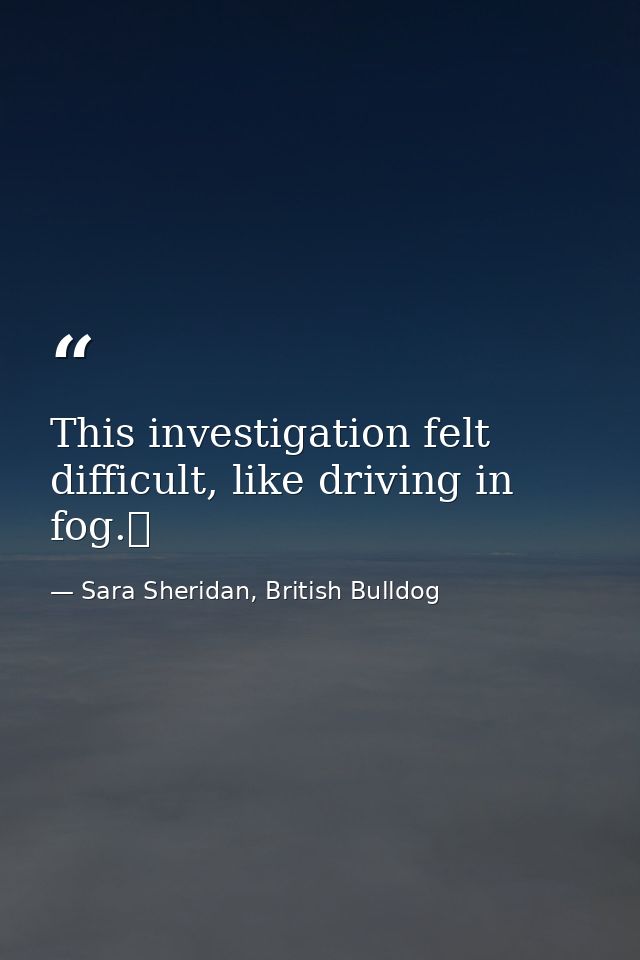 This investigation felt difficult, like driving in fog.  — Sara Sheridan, British Bulldog