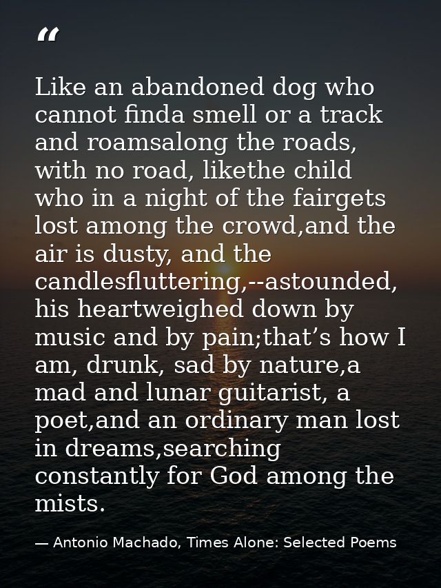 Like an abandoned dog who cannot finda smell or a track and roamsalong the roads, with no road, likethe child who in a n — Antonio Machado, Times Alone: Selected Poems