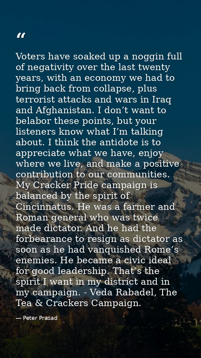 Voters have soaked up a noggin full of negativity over the last twenty years, with an economy we had to bring back from  — Peter Prasad