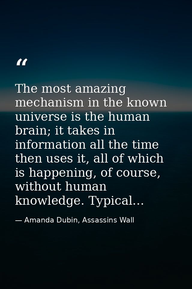 The most amazing mechanism in the known universe is the human brain; it takes in information all the time then uses it,  — Amanda Dubin, Assassins Wall