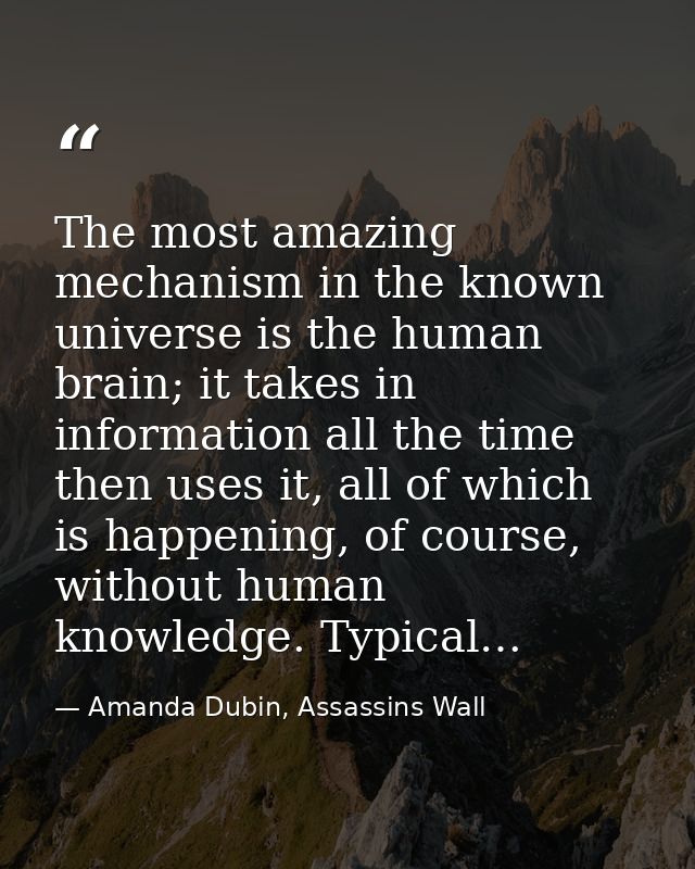 The most amazing mechanism in the known universe is the human brain; it takes in information all the time then uses it,  — Amanda Dubin, Assassins Wall