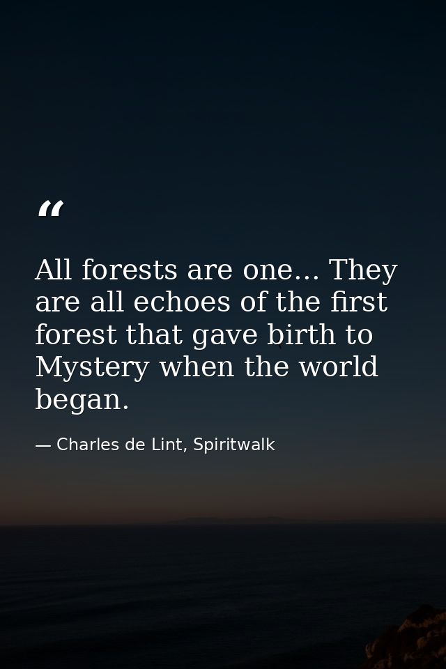 All forests are one... They are all echoes of the first forest that gave birth to Mystery when the world began. — Charles de Lint, Spiritwalk
