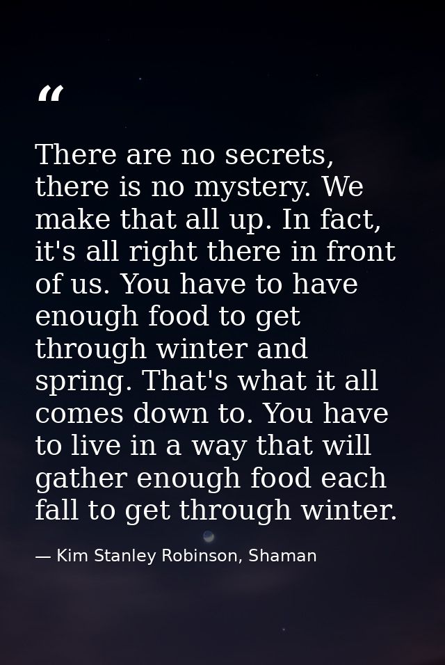 There are no secrets, there is no mystery. We make that all up. In fact, it's all right there in front of us. You have t — Kim Stanley Robinson, Shaman