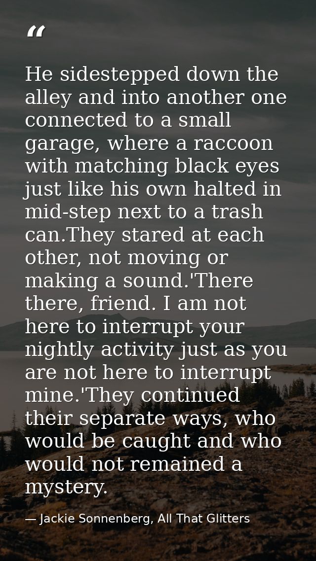 He sidestepped down the alley and into another one connected to a small garage, where a raccoon with matching black eyes — Jackie Sonnenberg, All That Glitters