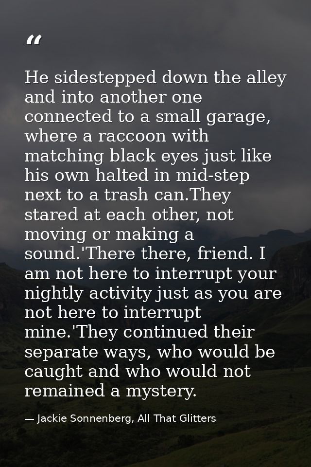 He sidestepped down the alley and into another one connected to a small garage, where a raccoon with matching black eyes — Jackie Sonnenberg, All That Glitters