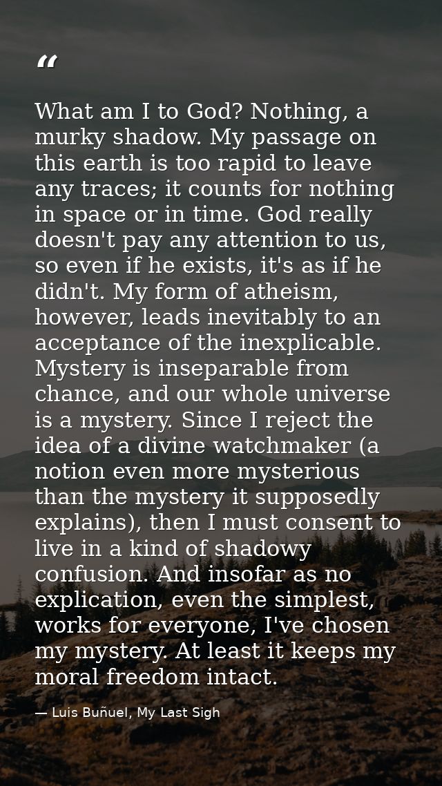What am I to God? Nothing, a murky shadow. My passage on this earth is too rapid to leave any traces; it counts for noth — Luis Buñuel, My Last Sigh
