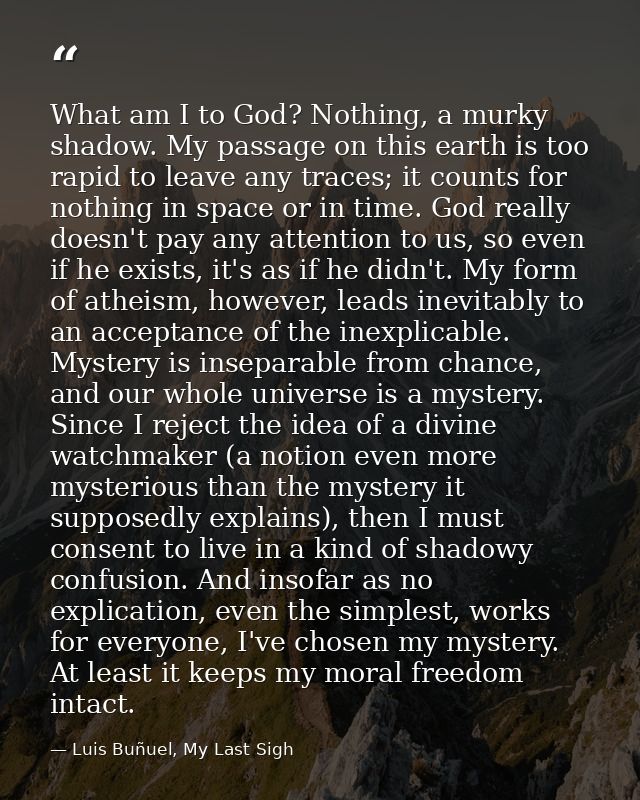 What am I to God? Nothing, a murky shadow. My passage on this earth is too rapid to leave any traces; it counts for noth — Luis Buñuel, My Last Sigh